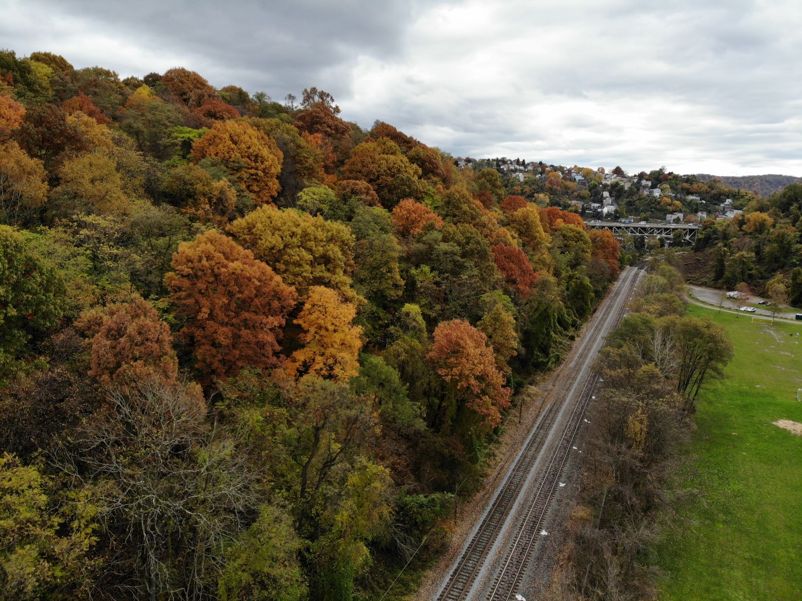 An autumnal hillside.