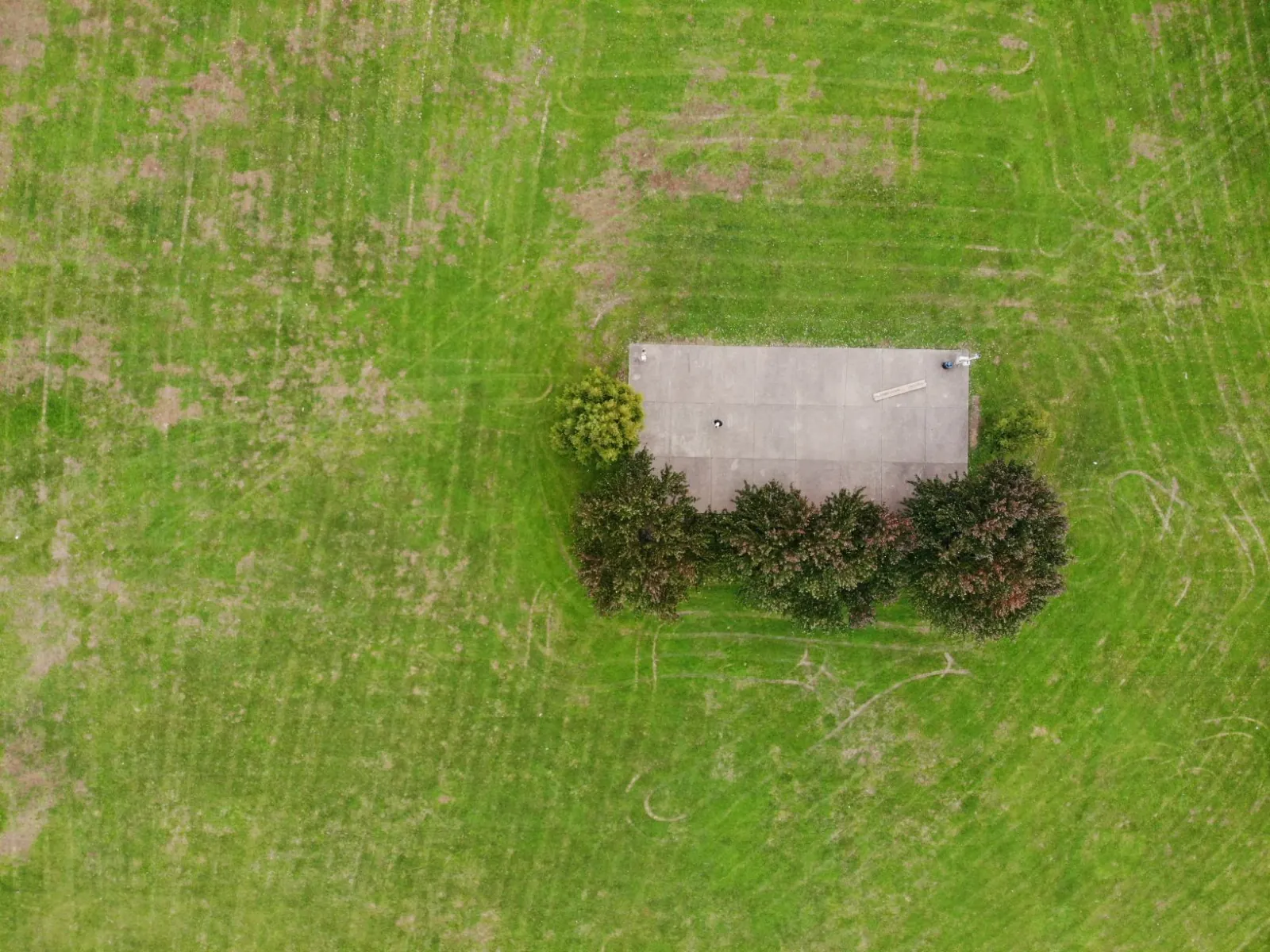 A freshly mown lawn.