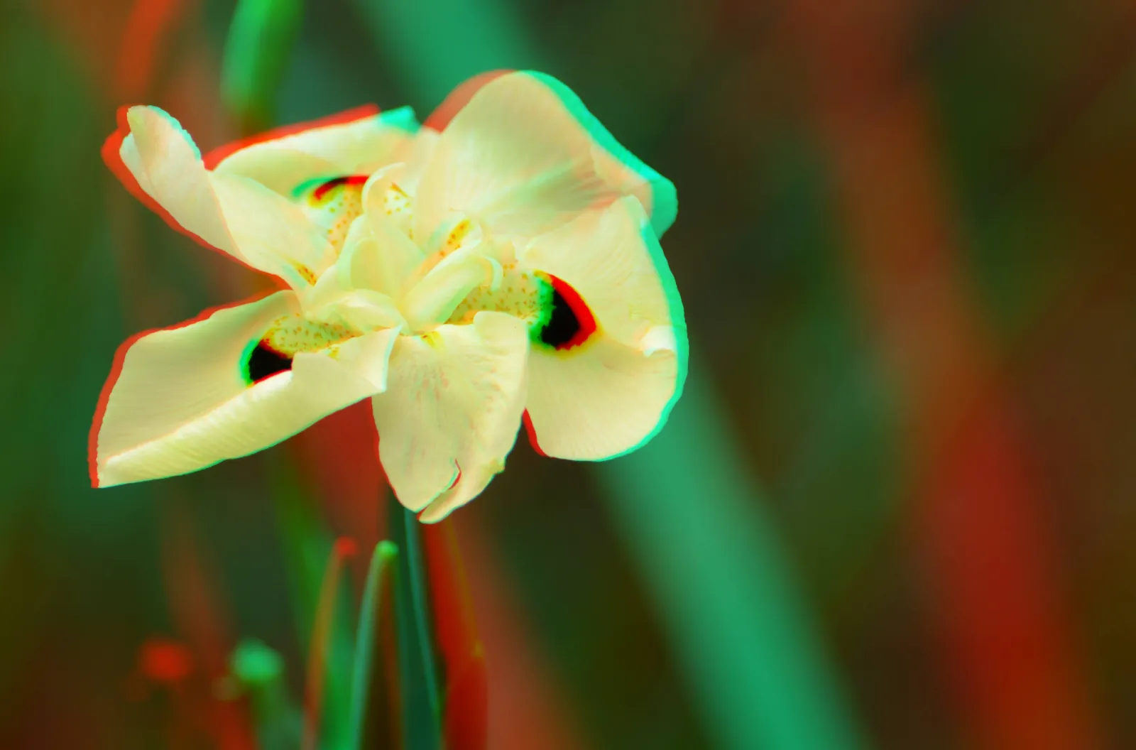 3D Image Capture